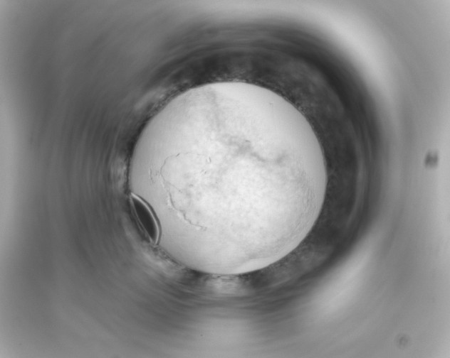 X0000093380767200711011250