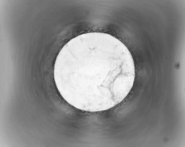 X0000093380769200711011249