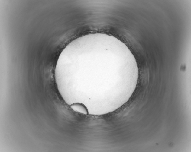 X0000093380770200711011249