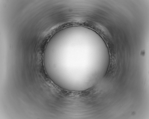 X0000093380773200711011249