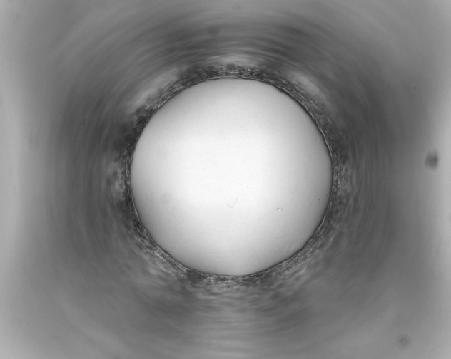 X0000093380774200711011249