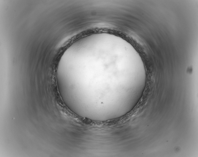 X0000093380775200711011249