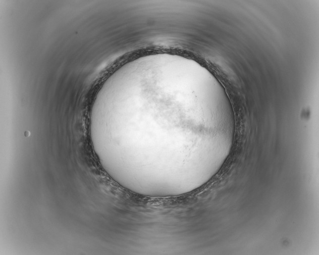 X0000093380776200711011249