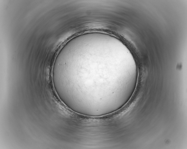 X0000093380777200711011249