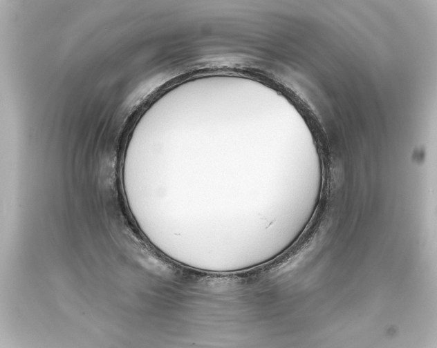 X0000093380778200711011249