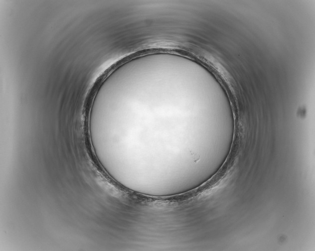 X0000093380779200711011249