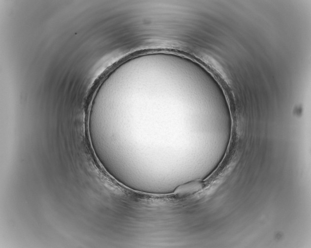 X0000093380781200711011249