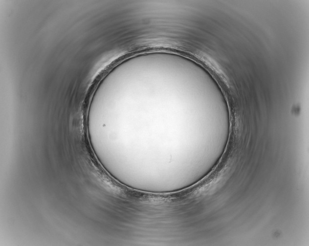 X0000093380782200711011249