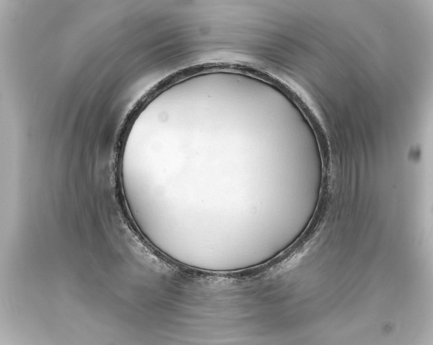 X0000093380783200711011249