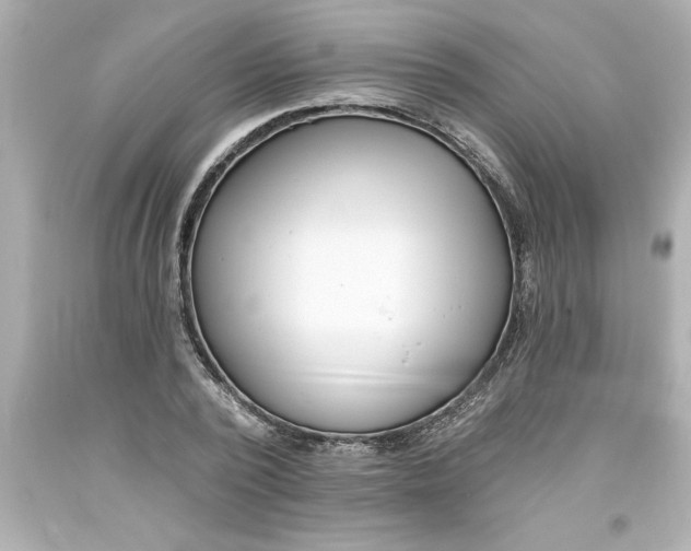 X0000093380784200711011249