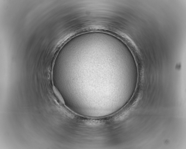 X0000093380785200711011249