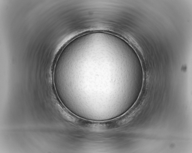 X0000093380789200711011249