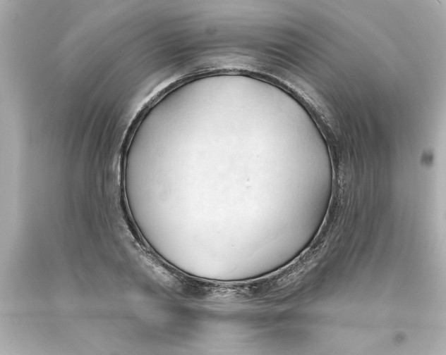 X0000093380790200711011249