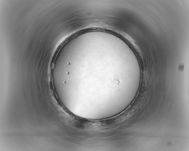 X0000093380791200711011249