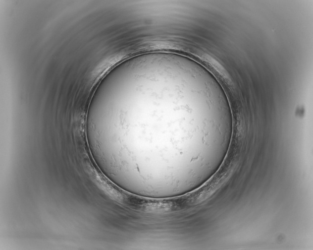 X0000093380793200711011249