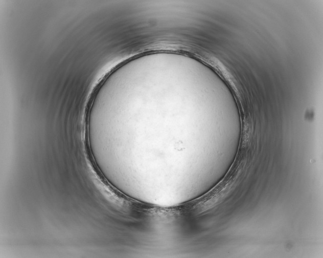 X0000093380795200711011249