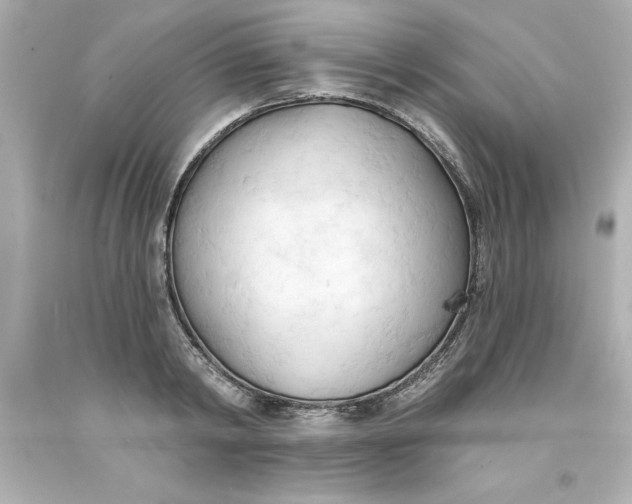 X0000093380798200711011249