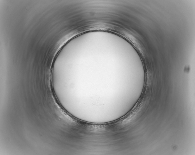 X0000093380802200711011249