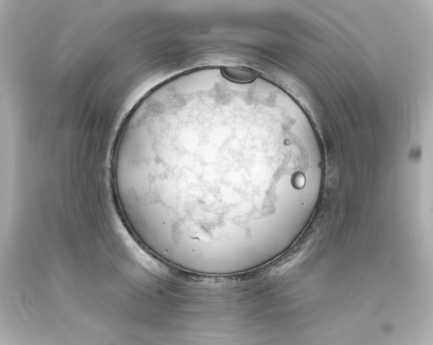 X0000093380803200711011249