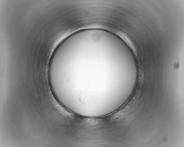 X0000093380805200711011249