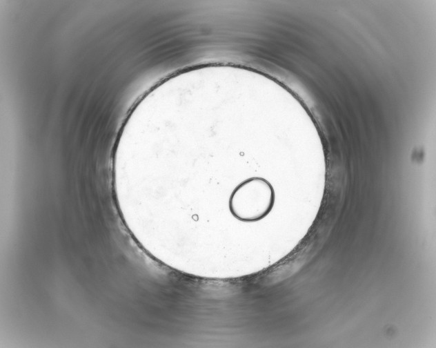 X0000093380807200711011249