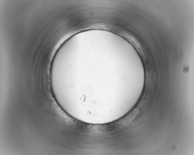 X0000093380808200711011249