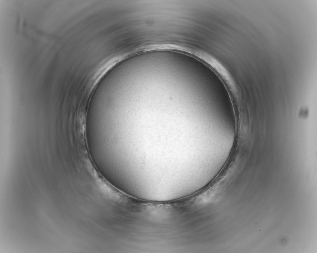 X0000093380809200711011249