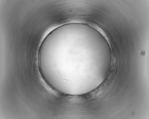 X0000093380811200711011249