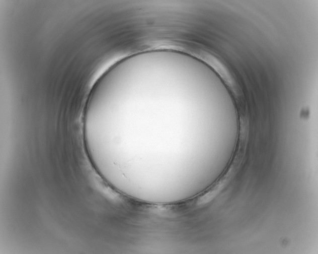 X0000093380814200711011248