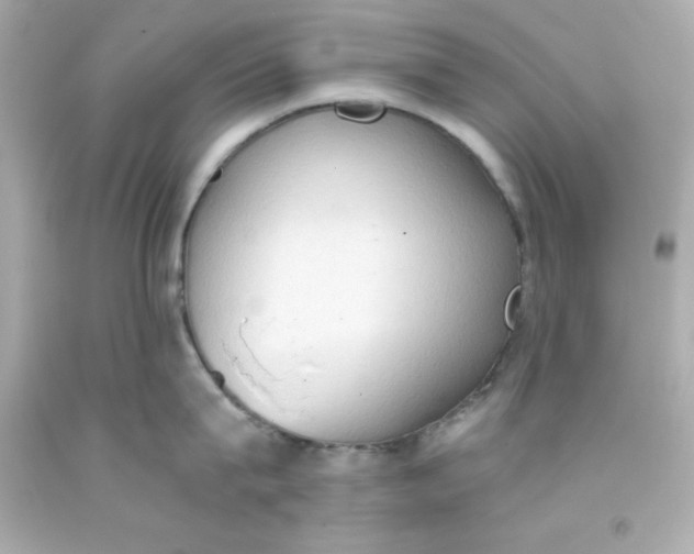 X0000093380815200711011248