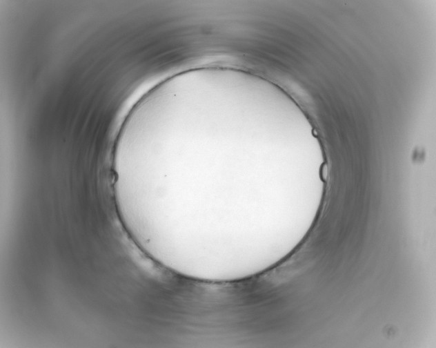 X0000093380816200711011248