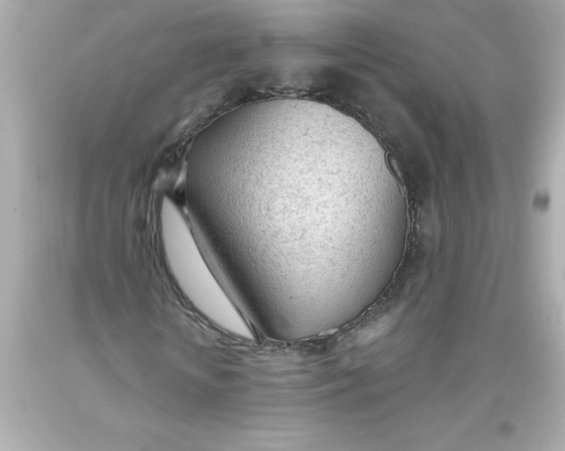 X0000093380818200711011248