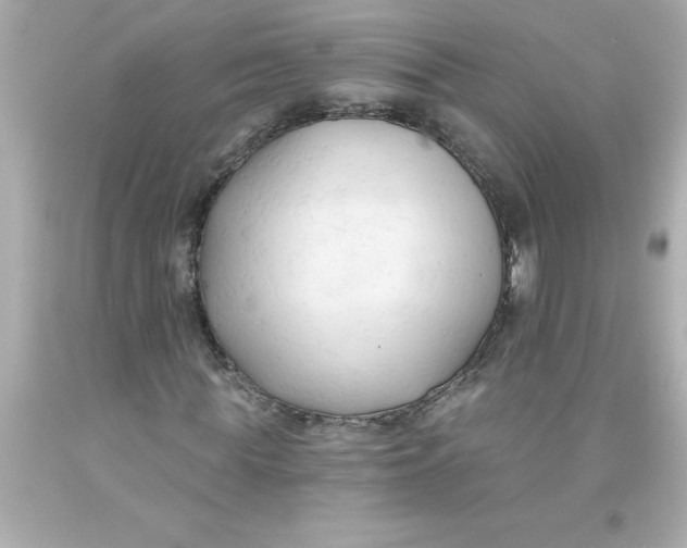 X0000093380819200711011248