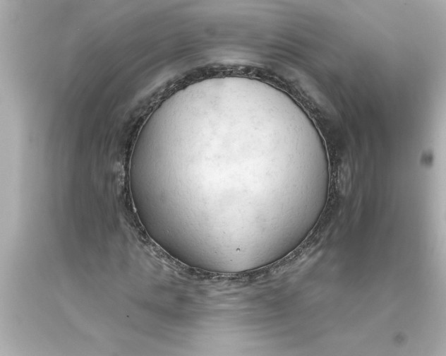 X0000093380821200711011248