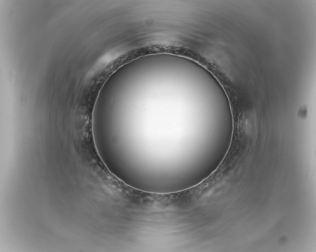 X0000093380822200711011248