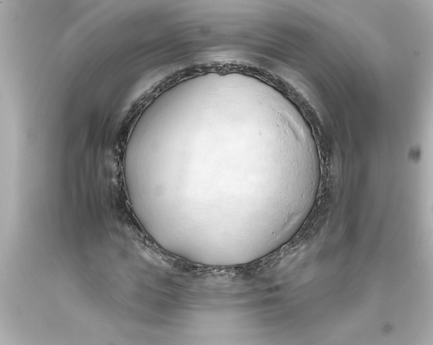 X0000093380823200711011248