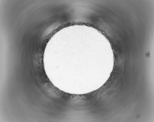 X0000093380824200711011248