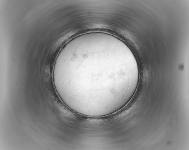 X0000093380825200711011248