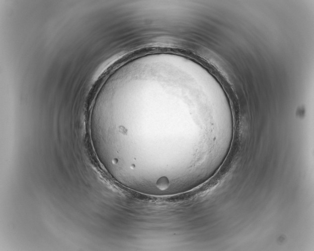 X0000093380829200711011248