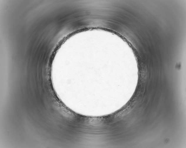 X0000093380832200711011248