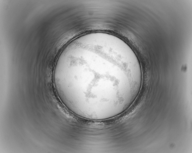 X0000093380833200711011248