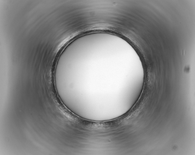 X0000093380834200711011248