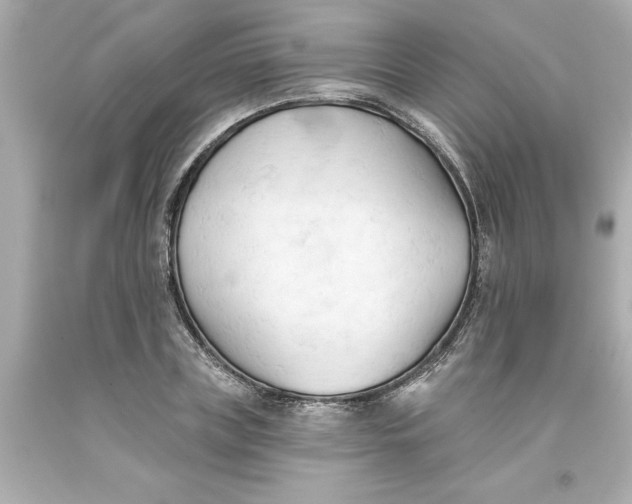 X0000093380835200711011248