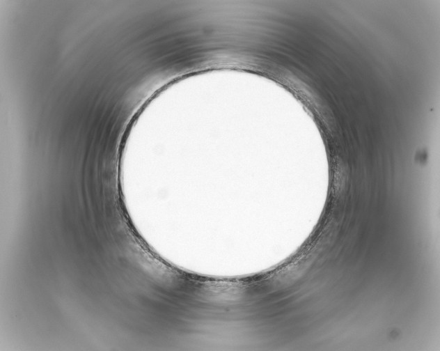 X0000093380836200711011248