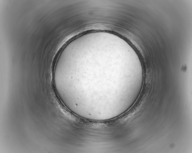 X0000093380837200711011248