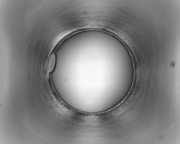 X0000093380838200711011248