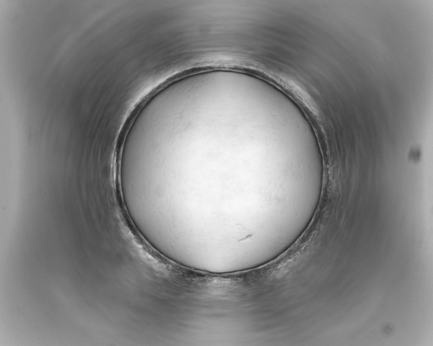 X0000093380839200711011248