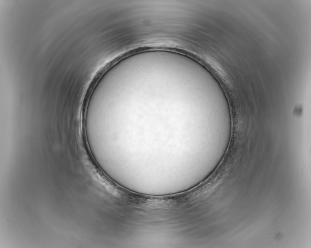 X0000093380840200711011248