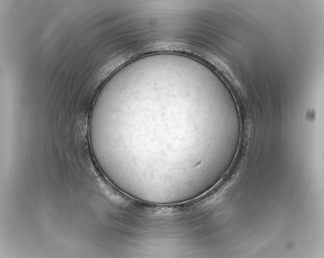 X0000093380841200711011248