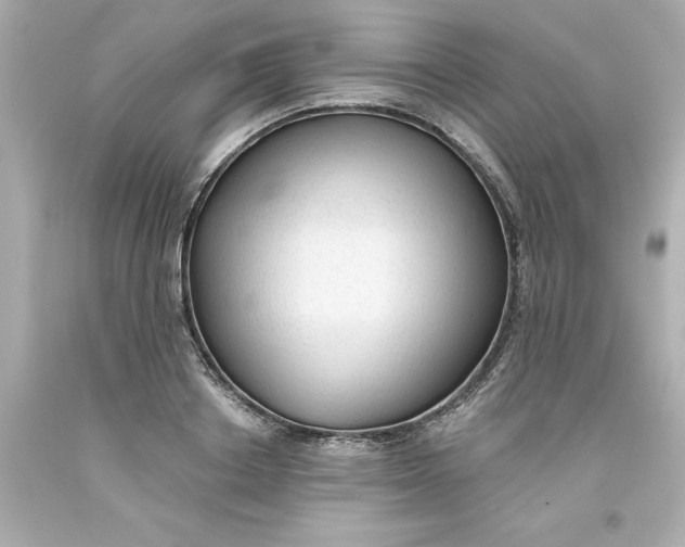 X0000093380842200711011248